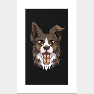 Brown/Lilac Border Collie Posters and Art